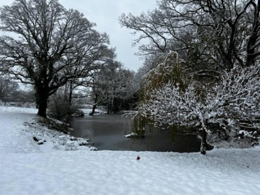 Charming Picturesque Cottage - Nr Tenterden & Rye, Pets Welcomed Rolvenden Zewnętrze zdjęcie