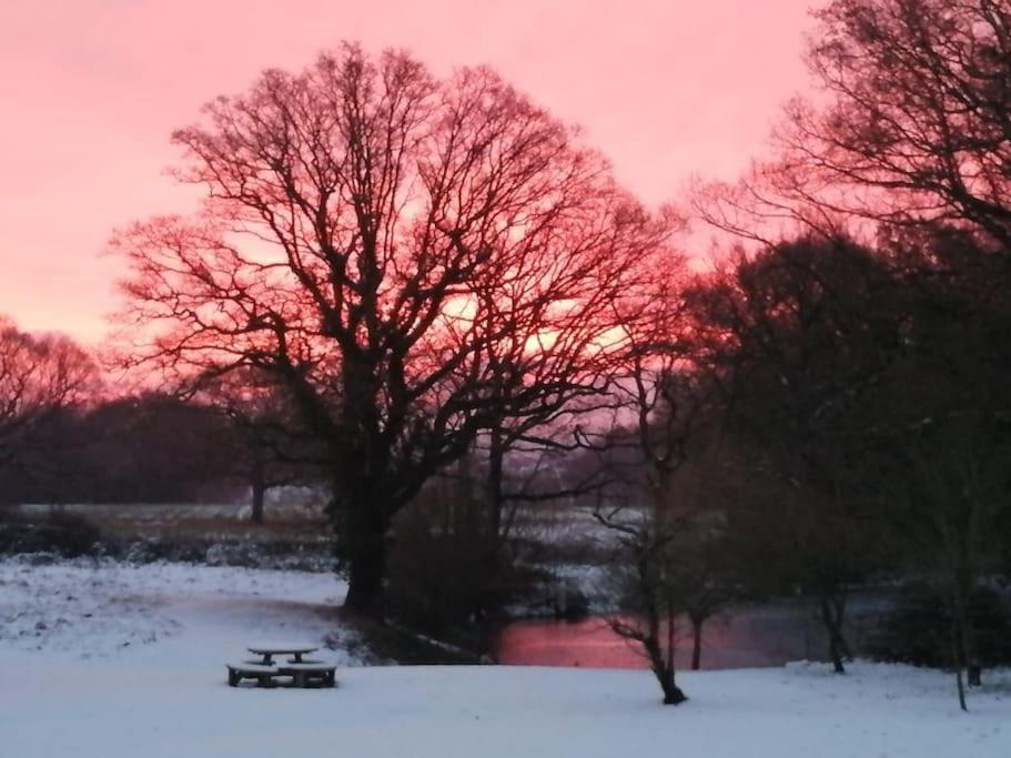 Charming Picturesque Cottage - Nr Tenterden & Rye, Pets Welcomed Rolvenden Zewnętrze zdjęcie